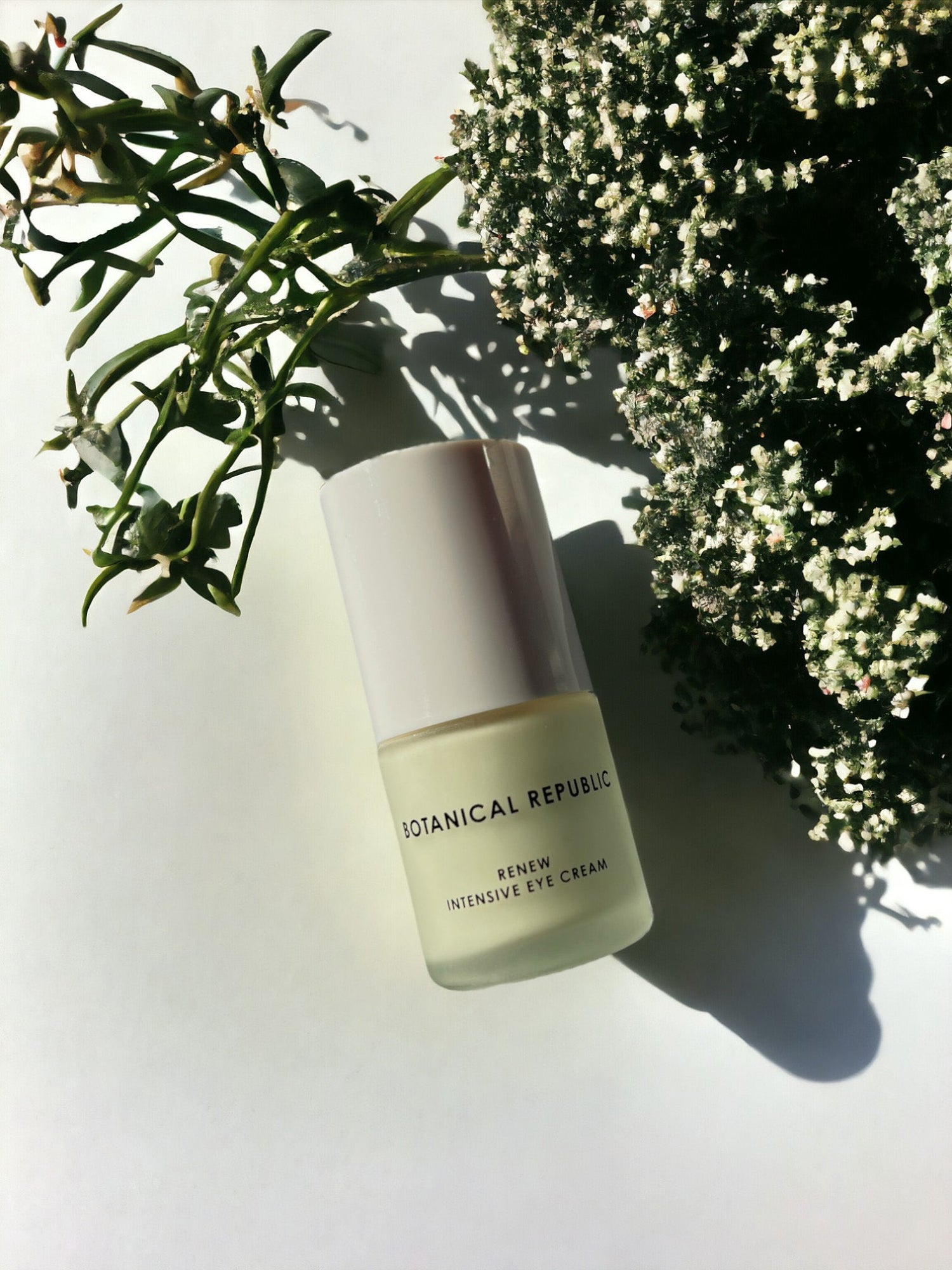 Renew Intensive Eye Cream - Botanical Republic