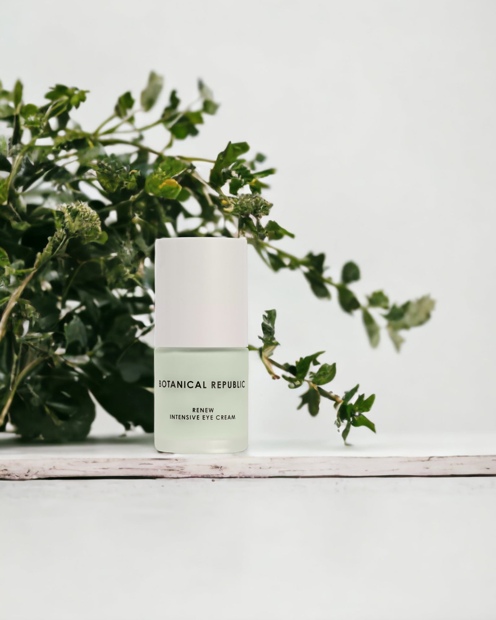 Discover the Power of Griffonia in Botanical Republic's Renew Intensive Eye Cream - Botanical Republic
