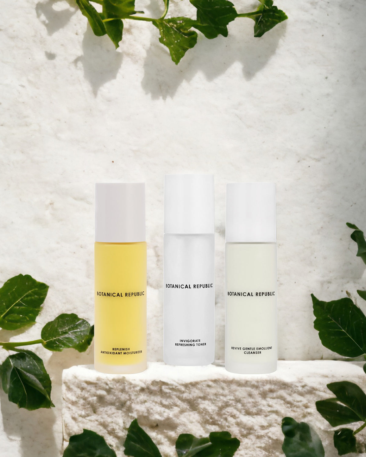 The Essentials Kit for Oily | Combination Skin by Botanical Republic