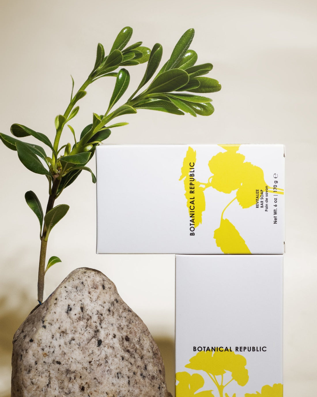 Revitalize Bar Soap - Botanical Republic